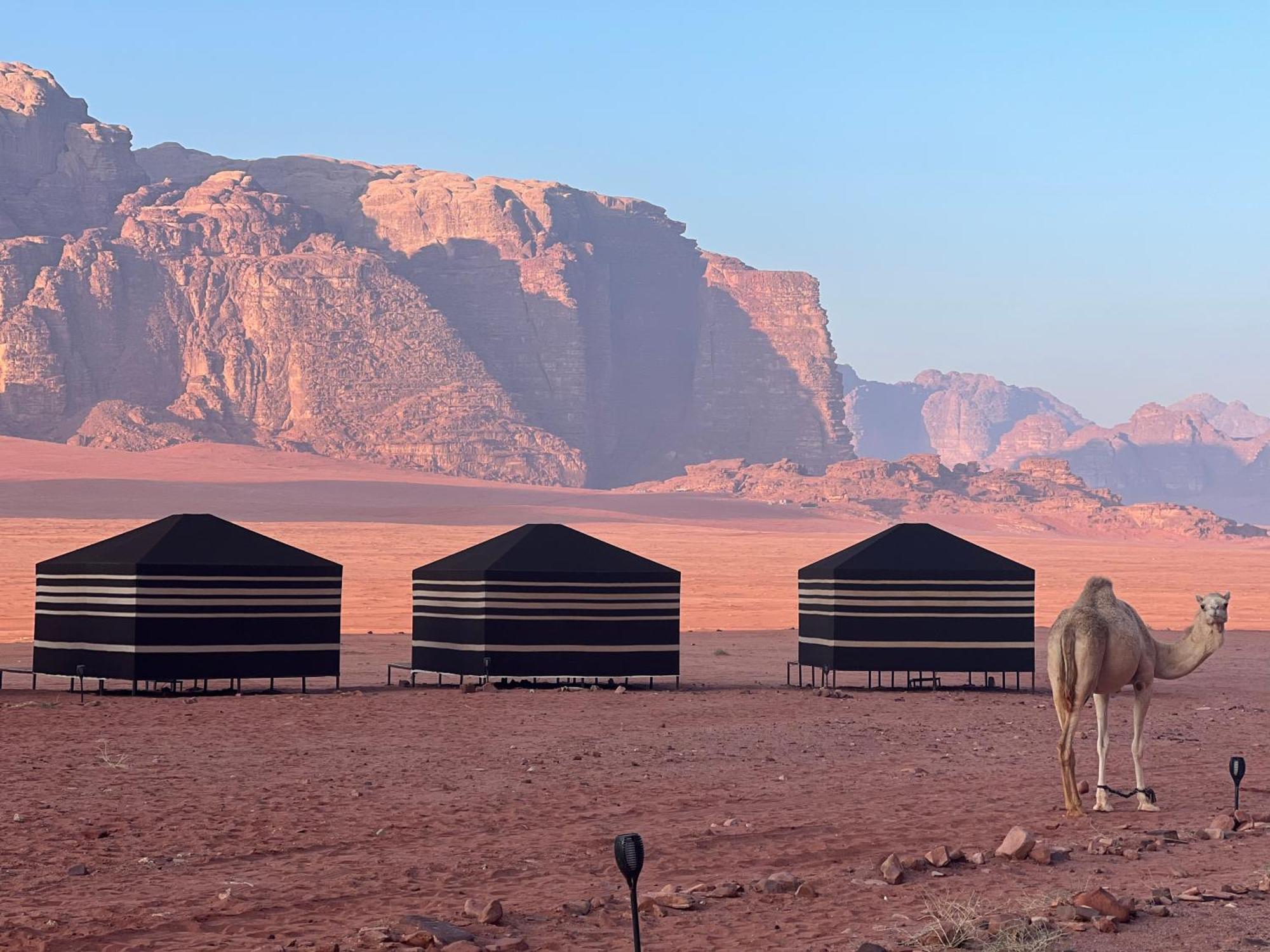 Desert Bird Camp Wadi Rum Exterior foto